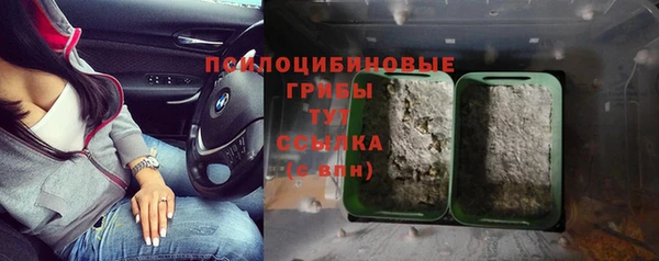 MESCALINE Вязьма
